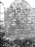 image of grave number 61162